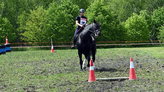 W niedzielę, 11 maja, w miejscowości Kanie-Stacja, w gminie Rejowiec Fabryczny, odbył się się III Konkurs i Pokaz Wszechstronnej Użytkowości Koni.