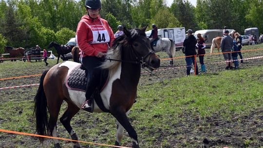 W niedzielę, 11 maja, w miejscowości Kanie-Stacja, w gminie Rejowiec Fabryczny, odbył się się III Konkurs i Pokaz Wszechstronnej Użytkowości Koni.