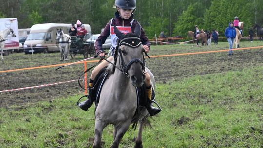W niedzielę, 11 maja, w miejscowości Kanie-Stacja, w gminie Rejowiec Fabryczny, odbył się się III Konkurs i Pokaz Wszechstronnej Użytkowości Koni.