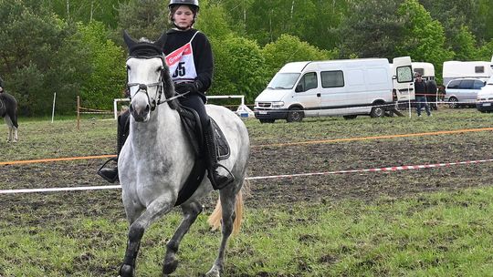 W niedzielę, 11 maja, w miejscowości Kanie-Stacja, w gminie Rejowiec Fabryczny, odbył się się III Konkurs i Pokaz Wszechstronnej Użytkowości Koni.