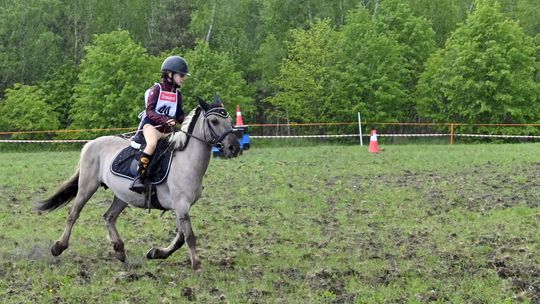W niedzielę, 11 maja, w miejscowości Kanie-Stacja, w gminie Rejowiec Fabryczny, odbył się się III Konkurs i Pokaz Wszechstronnej Użytkowości Koni.