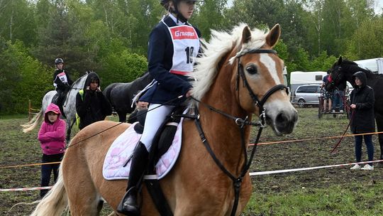 W niedzielę, 11 maja, w miejscowości Kanie-Stacja, w gminie Rejowiec Fabryczny, odbył się się III Konkurs i Pokaz Wszechstronnej Użytkowości Koni.