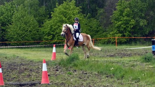 W niedzielę, 11 maja, w miejscowości Kanie-Stacja, w gminie Rejowiec Fabryczny, odbył się się III Konkurs i Pokaz Wszechstronnej Użytkowości Koni.