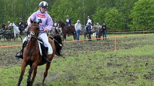 W niedzielę, 11 maja, w miejscowości Kanie-Stacja, w gminie Rejowiec Fabryczny, odbył się się III Konkurs i Pokaz Wszechstronnej Użytkowości Koni.