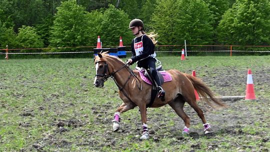 W niedzielę, 11 maja, w miejscowości Kanie-Stacja, w gminie Rejowiec Fabryczny, odbył się się III Konkurs i Pokaz Wszechstronnej Użytkowości Koni.
