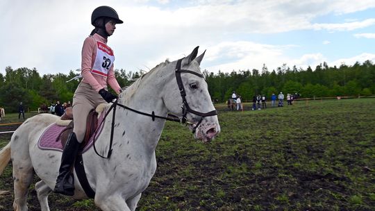 W niedzielę, 11 maja, w miejscowości Kanie-Stacja, w gminie Rejowiec Fabryczny, odbył się się III Konkurs i Pokaz Wszechstronnej Użytkowości Koni.