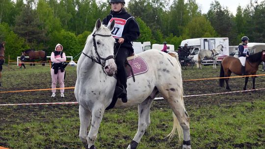 W niedzielę, 11 maja, w miejscowości Kanie-Stacja, w gminie Rejowiec Fabryczny, odbył się się III Konkurs i Pokaz Wszechstronnej Użytkowości Koni.