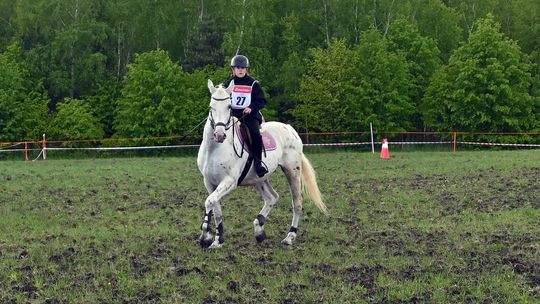 W niedzielę, 11 maja, w miejscowości Kanie-Stacja, w gminie Rejowiec Fabryczny, odbył się się III Konkurs i Pokaz Wszechstronnej Użytkowości Koni.