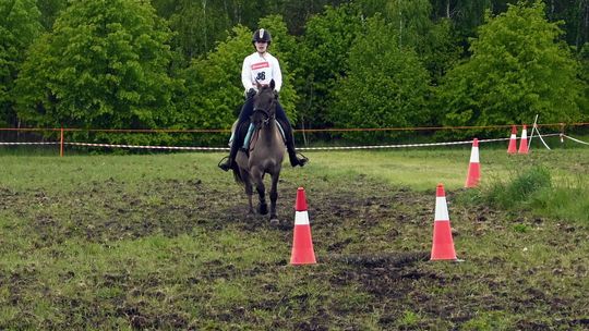 W niedzielę, 11 maja, w miejscowości Kanie-Stacja, w gminie Rejowiec Fabryczny, odbył się się III Konkurs i Pokaz Wszechstronnej Użytkowości Koni.