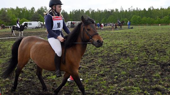 W niedzielę, 11 maja, w miejscowości Kanie-Stacja, w gminie Rejowiec Fabryczny, odbył się się III Konkurs i Pokaz Wszechstronnej Użytkowości Koni.