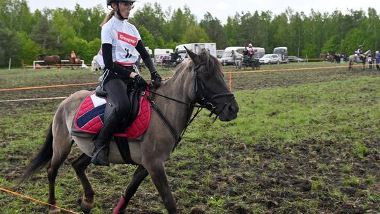 W niedzielę, 11 maja, w miejscowości Kanie-Stacja, w gminie Rejowiec Fabryczny, odbył się się III Konkurs i Pokaz Wszechstronnej Użytkowości Koni.