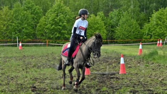 W niedzielę, 11 maja, w miejscowości Kanie-Stacja, w gminie Rejowiec Fabryczny, odbył się się III Konkurs i Pokaz Wszechstronnej Użytkowości Koni.