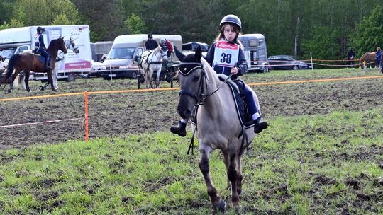 W niedzielę, 11 maja, w miejscowości Kanie-Stacja, w gminie Rejowiec Fabryczny, odbył się się III Konkurs i Pokaz Wszechstronnej Użytkowości Koni.