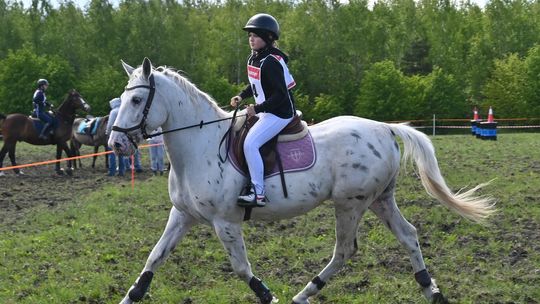 W niedzielę, 11 maja, w miejscowości Kanie-Stacja, w gminie Rejowiec Fabryczny, odbył się się III Konkurs i Pokaz Wszechstronnej Użytkowości Koni.