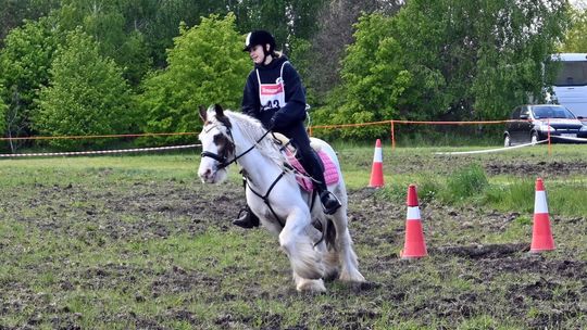 W niedzielę, 11 maja, w miejscowości Kanie-Stacja, w gminie Rejowiec Fabryczny, odbył się się III Konkurs i Pokaz Wszechstronnej Użytkowości Koni.