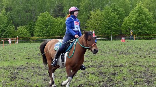 W niedzielę, 11 maja, w miejscowości Kanie-Stacja, w gminie Rejowiec Fabryczny, odbył się się III Konkurs i Pokaz Wszechstronnej Użytkowości Koni.