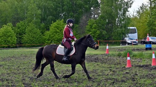 W niedzielę, 11 maja, w miejscowości Kanie-Stacja, w gminie Rejowiec Fabryczny, odbył się się III Konkurs i Pokaz Wszechstronnej Użytkowości Koni.