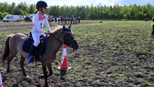 W niedzielę, 11 maja, w miejscowości Kanie-Stacja, w gminie Rejowiec Fabryczny, odbył się się III Konkurs i Pokaz Wszechstronnej Użytkowości Koni.