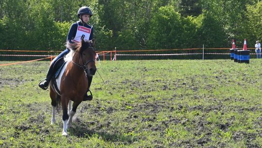 W niedzielę, 11 maja, w miejscowości Kanie-Stacja, w gminie Rejowiec Fabryczny, odbył się się III Konkurs i Pokaz Wszechstronnej Użytkowości Koni.