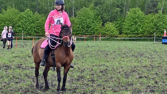 W niedzielę, 11 maja, w miejscowości Kanie-Stacja, w gminie Rejowiec Fabryczny, odbył się się III Konkurs i Pokaz Wszechstronnej Użytkowości Koni.