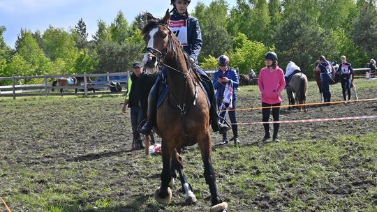 W niedzielę, 11 maja, w miejscowości Kanie-Stacja, w gminie Rejowiec Fabryczny, odbył się się III Konkurs i Pokaz Wszechstronnej Użytkowości Koni.