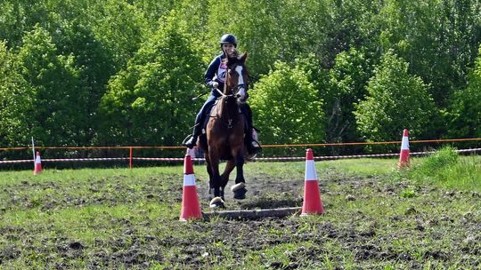 W niedzielę, 11 maja, w miejscowości Kanie-Stacja, w gminie Rejowiec Fabryczny, odbył się się III Konkurs i Pokaz Wszechstronnej Użytkowości Koni.