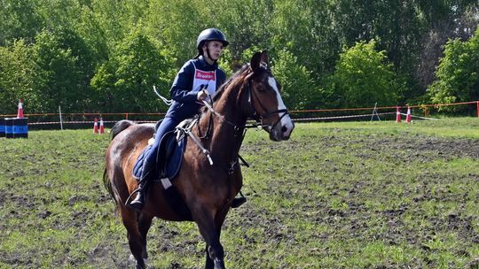 W niedzielę, 11 maja, w miejscowości Kanie-Stacja, w gminie Rejowiec Fabryczny, odbył się się III Konkurs i Pokaz Wszechstronnej Użytkowości Koni.