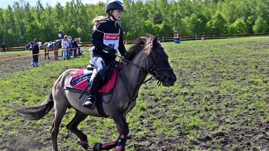 W niedzielę, 11 maja, w miejscowości Kanie-Stacja, w gminie Rejowiec Fabryczny, odbył się się III Konkurs i Pokaz Wszechstronnej Użytkowości Koni.