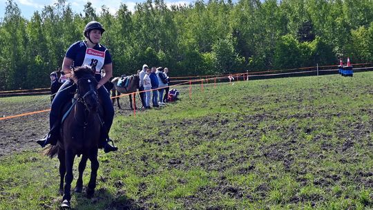 W niedzielę, 11 maja, w miejscowości Kanie-Stacja, w gminie Rejowiec Fabryczny, odbył się się III Konkurs i Pokaz Wszechstronnej Użytkowości Koni.