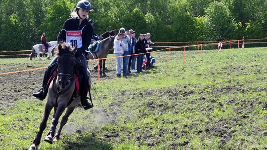 W niedzielę, 11 maja, w miejscowości Kanie-Stacja, w gminie Rejowiec Fabryczny, odbył się się III Konkurs i Pokaz Wszechstronnej Użytkowości Koni.
