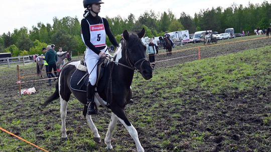 W niedzielę, 11 maja, w miejscowości Kanie-Stacja, w gminie Rejowiec Fabryczny, odbył się się III Konkurs i Pokaz Wszechstronnej Użytkowości Koni.