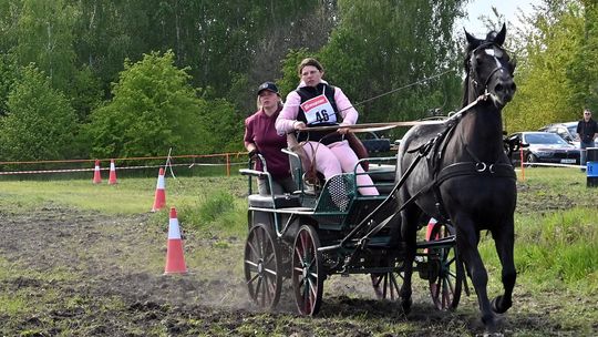 W niedzielę, 11 maja, w miejscowości Kanie-Stacja, w gminie Rejowiec Fabryczny, odbył się się III Konkurs i Pokaz Wszechstronnej Użytkowości Koni.
