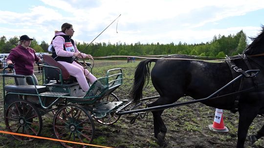 W niedzielę, 11 maja, w miejscowości Kanie-Stacja, w gminie Rejowiec Fabryczny, odbył się się III Konkurs i Pokaz Wszechstronnej Użytkowości Koni.