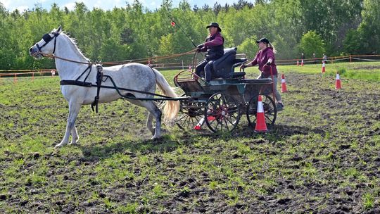 W niedzielę, 11 maja, w miejscowości Kanie-Stacja, w gminie Rejowiec Fabryczny, odbył się się III Konkurs i Pokaz Wszechstronnej Użytkowości Koni.