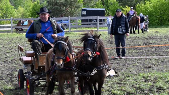 W niedzielę, 11 maja, w miejscowości Kanie-Stacja, w gminie Rejowiec Fabryczny, odbył się się III Konkurs i Pokaz Wszechstronnej Użytkowości Koni.