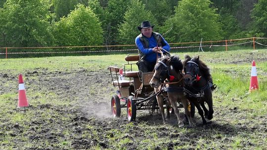 W niedzielę, 11 maja, w miejscowości Kanie-Stacja, w gminie Rejowiec Fabryczny, odbył się się III Konkurs i Pokaz Wszechstronnej Użytkowości Koni.