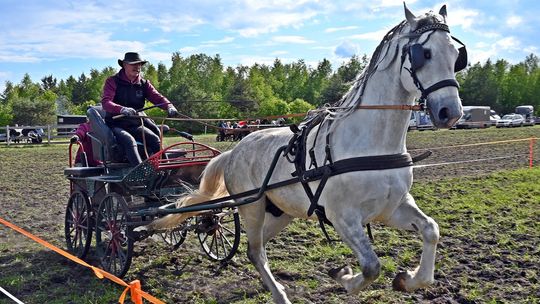 W niedzielę, 11 maja, w miejscowości Kanie-Stacja, w gminie Rejowiec Fabryczny, odbył się się III Konkurs i Pokaz Wszechstronnej Użytkowości Koni.