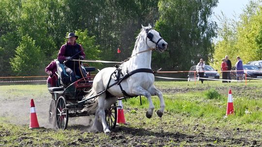 W niedzielę, 11 maja, w miejscowości Kanie-Stacja, w gminie Rejowiec Fabryczny, odbył się się III Konkurs i Pokaz Wszechstronnej Użytkowości Koni.