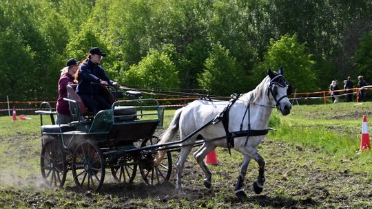 W niedzielę, 11 maja, w miejscowości Kanie-Stacja, w gminie Rejowiec Fabryczny, odbył się się III Konkurs i Pokaz Wszechstronnej Użytkowości Koni.