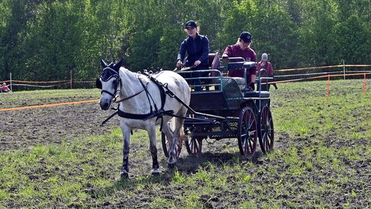 W niedzielę, 11 maja, w miejscowości Kanie-Stacja, w gminie Rejowiec Fabryczny, odbył się się III Konkurs i Pokaz Wszechstronnej Użytkowości Koni.