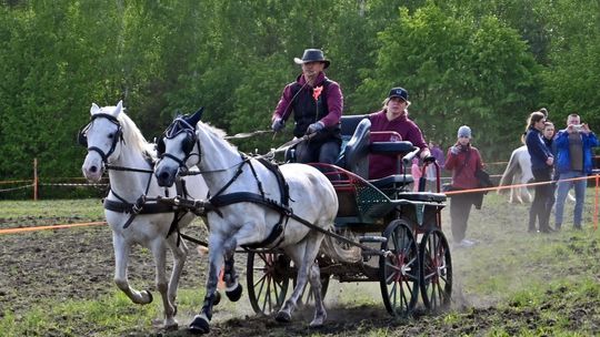 W niedzielę, 11 maja, w miejscowości Kanie-Stacja, w gminie Rejowiec Fabryczny, odbył się się III Konkurs i Pokaz Wszechstronnej Użytkowości Koni.