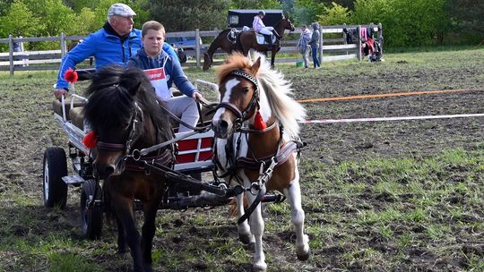 W niedzielę, 11 maja, w miejscowości Kanie-Stacja, w gminie Rejowiec Fabryczny, odbył się się III Konkurs i Pokaz Wszechstronnej Użytkowości Koni.