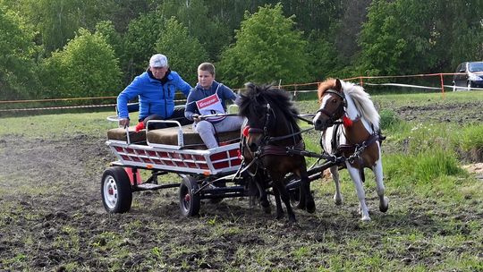 W niedzielę, 11 maja, w miejscowości Kanie-Stacja, w gminie Rejowiec Fabryczny, odbył się się III Konkurs i Pokaz Wszechstronnej Użytkowości Koni.