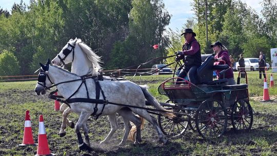 W niedzielę, 11 maja, w miejscowości Kanie-Stacja, w gminie Rejowiec Fabryczny, odbył się się III Konkurs i Pokaz Wszechstronnej Użytkowości Koni.