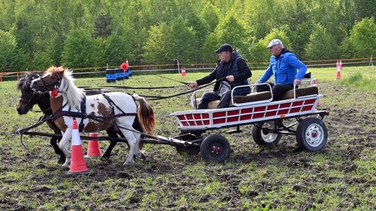 W niedzielę, 11 maja, w miejscowości Kanie-Stacja, w gminie Rejowiec Fabryczny, odbył się się III Konkurs i Pokaz Wszechstronnej Użytkowości Koni.