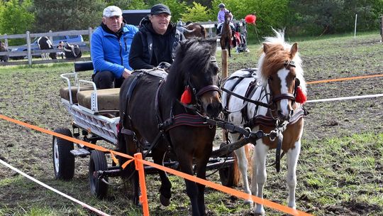W niedzielę, 11 maja, w miejscowości Kanie-Stacja, w gminie Rejowiec Fabryczny, odbył się się III Konkurs i Pokaz Wszechstronnej Użytkowości Koni.