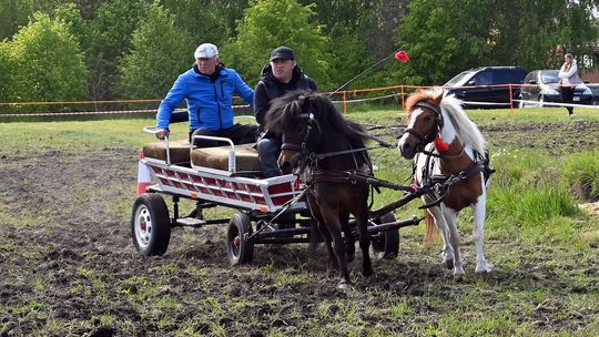 W niedzielę, 11 maja, w miejscowości Kanie-Stacja, w gminie Rejowiec Fabryczny, odbył się się III Konkurs i Pokaz Wszechstronnej Użytkowości Koni.