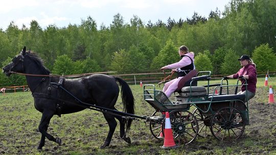 W niedzielę, 11 maja, w miejscowości Kanie-Stacja, w gminie Rejowiec Fabryczny, odbył się się III Konkurs i Pokaz Wszechstronnej Użytkowości Koni.