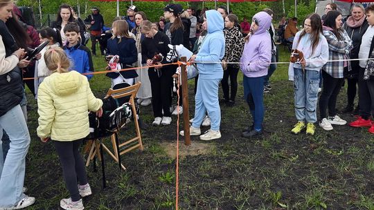 W niedzielę, 11 maja, w miejscowości Kanie-Stacja, w gminie Rejowiec Fabryczny, odbył się się III Konkurs i Pokaz Wszechstronnej Użytkowości Koni.