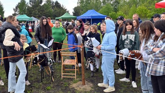 W niedzielę, 11 maja, w miejscowości Kanie-Stacja, w gminie Rejowiec Fabryczny, odbył się się III Konkurs i Pokaz Wszechstronnej Użytkowości Koni.